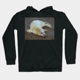 Baby Seal at Donna Nook UK Hoodie